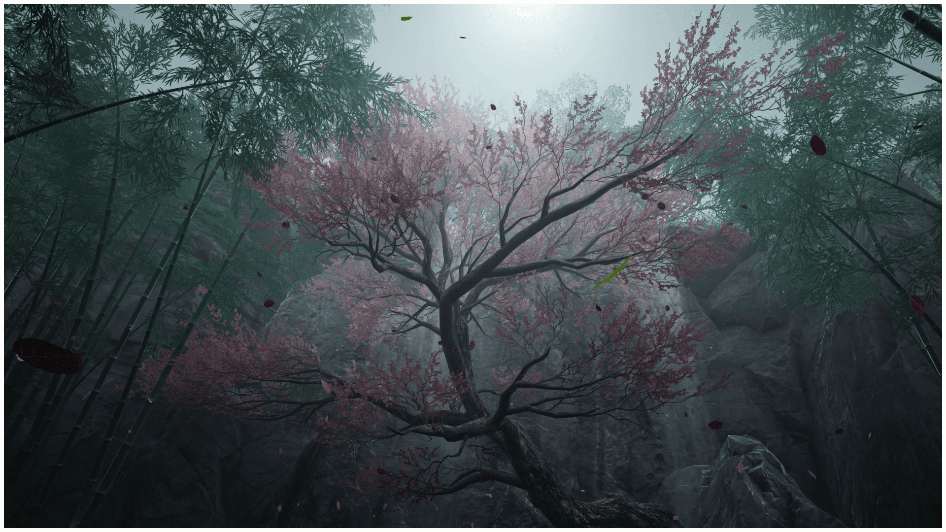 ENDFIELD_SHARE_1772557587.png