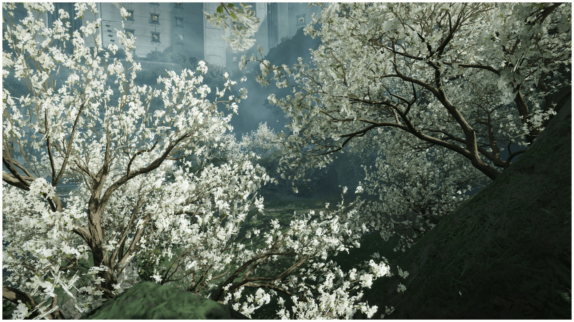 ENDFIELD_SHARE_1772565653.png